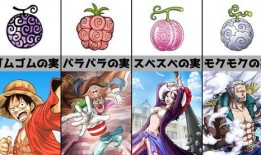 航海王最新大爆料图鉴,揭秘最新大爆料图鉴，探寻神秘新篇章